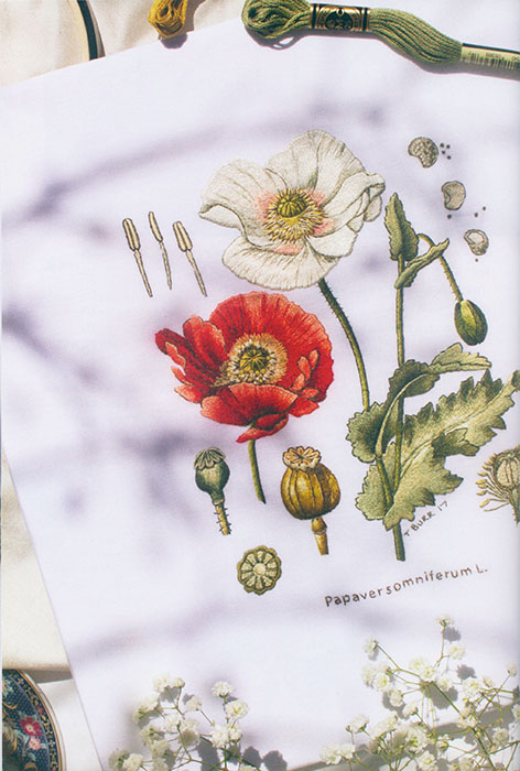 刺繍で楽しむイギリス王立植物園の花たち キューガーデンの植物画から生まれた刺繍図案