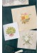 植物刺繍図鑑 リースとブーケ