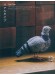 鳥 あみぐるみ 鳥 あみぐるみ