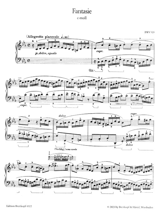 Bach-Busoni Klavierwerke Instruktive Ausgabe Band XXII Fantasien BWV 917-922 , Fugen BWV 956-959 , Fugato BWV 962 Bach-Busoni Klavierwerke Instruktive Ausgabe Band XXII Fantasien BWV 917-922 , Fugen BWV 956-959 , Fugato BWV 962