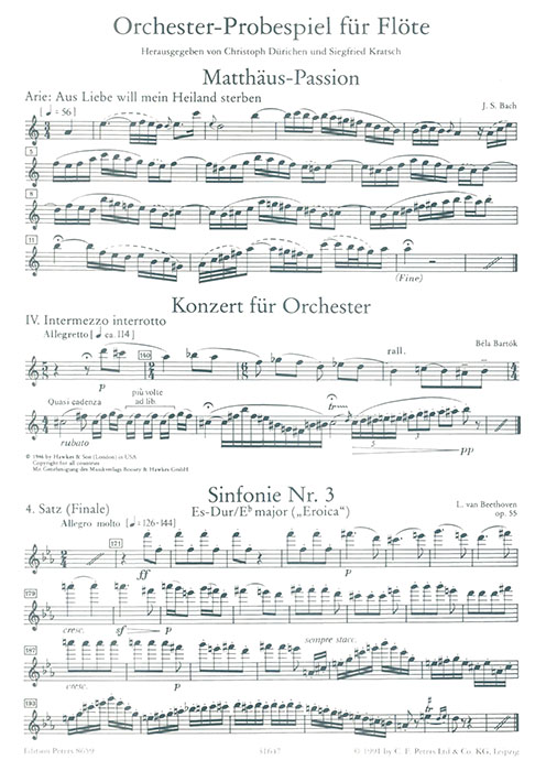 Orchester Probespiel Flöte/Piccoloflöte