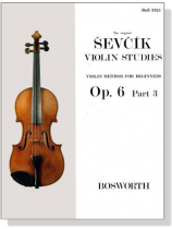 Sevcik Violin Studies【Op. 6 , Part 3】Violin Method For Beginners