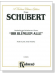 Schubert【Introduction and Variations on a Theme , Ihr Blümlein Alle】for Flute and Piano