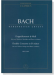 Bach【Doppelkonzert d-Moll】für zwei Violinen, Streicher und Basso continuo , BWV 1043