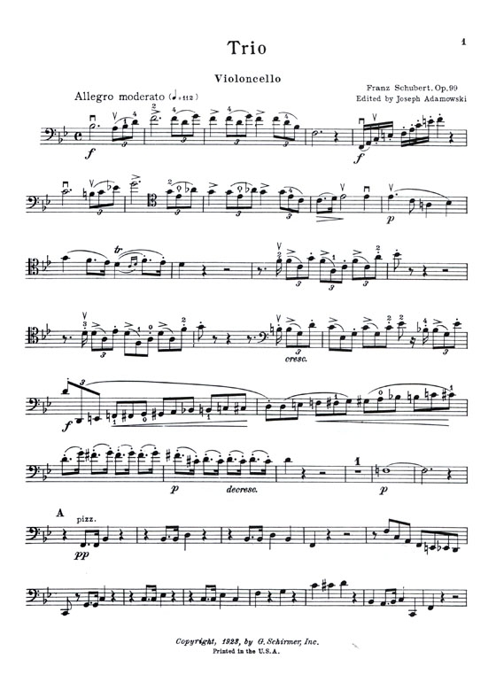 Schubert【Trio in B♭ Major , Op. 99】for Piano , Violin and Violoncello