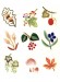 糸で彩る花刺しゅう 実物大図案と作品 Flower Embroidery Design