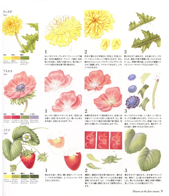 〔水彩画集〕四季の花を束ねて