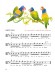 Early Start on the Viola【Volume 1】Bärenreiter's Sassmannshaus Early Start on the Viola【Volume 1】Bärenreiter's Sassmannshaus