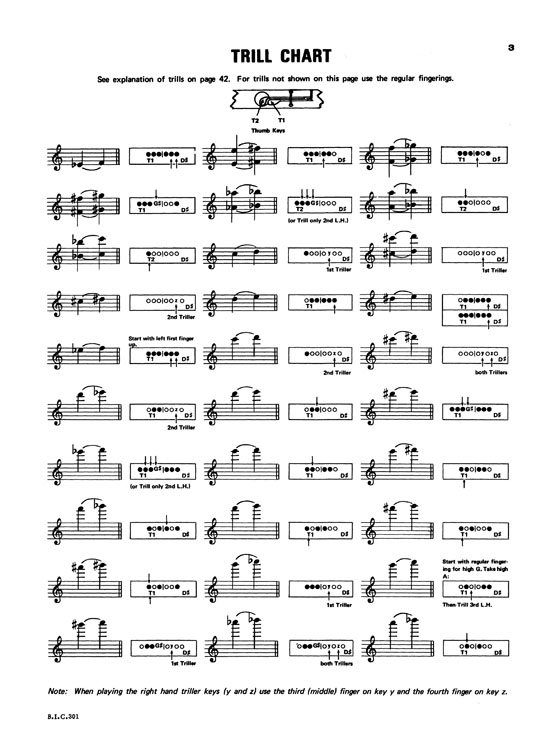 Student Instrumental Course【Flute Student】Level Three