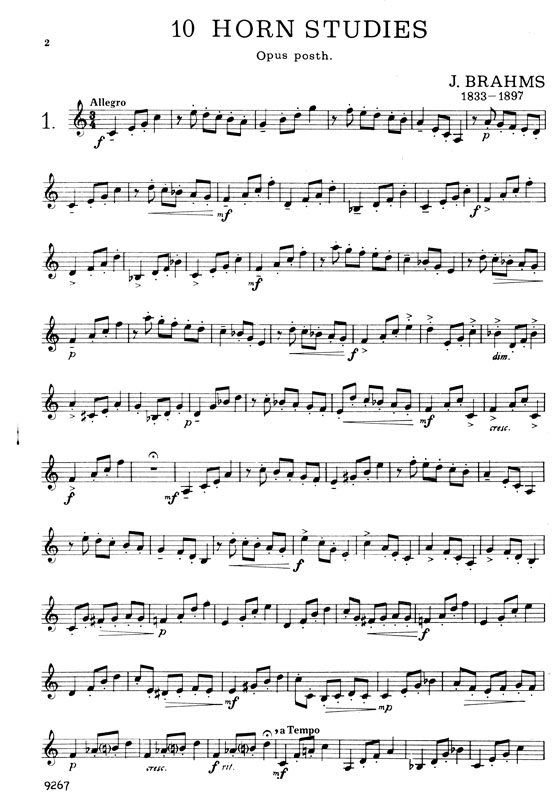 Brahms【10 Horn】Studies