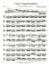 N. Rimsky-Korsakow【The Flight of the Bumblebee】Flute Solos With Piano Accompaniment N. Rimsky-Korsakow【The Flight of the Bumblebee】Flute Solos With Piano Accompaniment