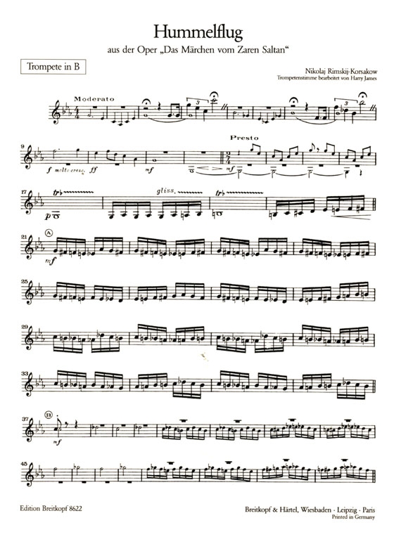 Rimskij-Korsakow【Hummelflug】für Trompete und Klavier