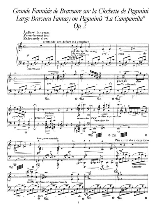 Liszt【Complete Etudes】for Solo Piano Series Ⅱ: Including the Paganini Etudes and Concert Etudes