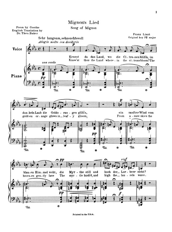 Liszt【Twelve Songs with Piano Accompaniment】for Low Voice