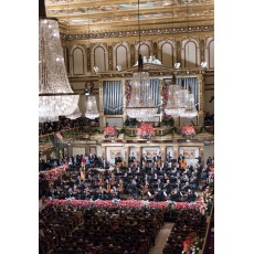 2015維也納愛樂開幕之夜 Vienna Philharmonic