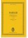 Mahler Symphony No. 1 in D Major, "The Titan" /マーラー 交響曲第1番二長調(巨人) Mahler Symphony No. 1 in D Major, "The Titan" /マーラー 交響曲第1番二長調(巨人)