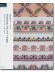 DMC Antique Collection クロスステッチ フォークロア 東欧刺繍のモチーフ&パターン