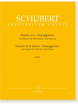 Schubert Sonata in A minor "Arpeggione" arranged for Clarinet and Piano D 821 Schubert Sonata in A minor "Arpeggione" arranged for Clarinet and Piano D 821