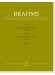 Johannes Brahms Trio for Clarinet (Viola), Violoncello and Piano Opus 114