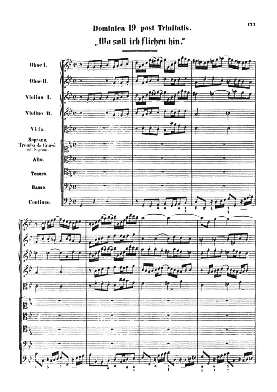 Bach【Cantatas Nos. 5-8】Volume 2 , Miniature Score
