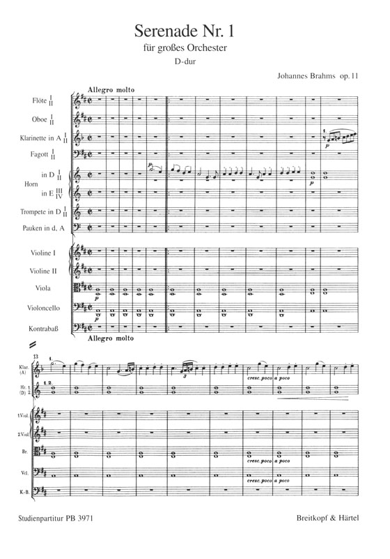 Brahms【Serenade Nr.1】für großes Orchester D-dur, Op. 11 Brahms【Serenade Nr.1】für großes Orchester D-dur, Op. 11
