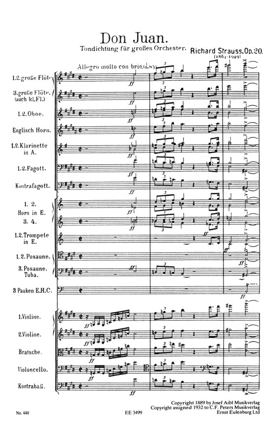 R. Strauss Don Juan Symphonic Poem Op. 20／リヒャルト・シュトラウス 交響詩《ドン・ファン》