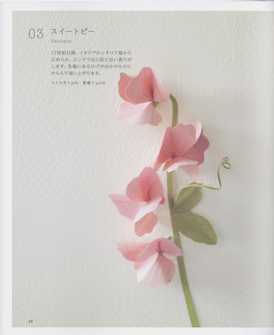 野の花の立体切り紙 西洋編 野の花の立体切り紙 西洋編