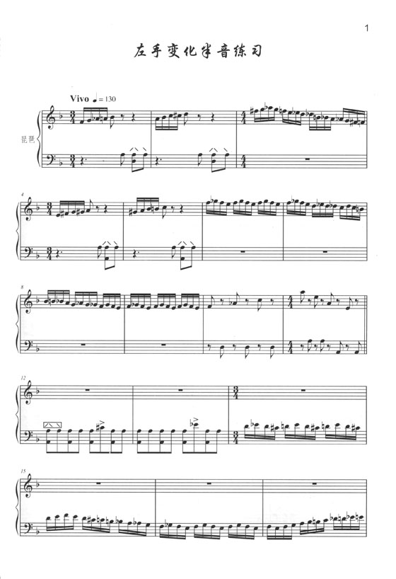 琵琶高級練習曲20首 (簡中)