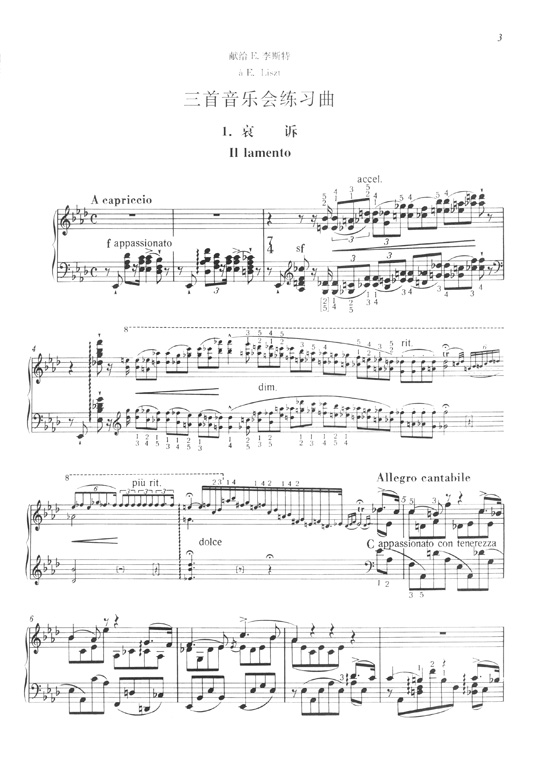 李斯特鋼琴全集 練習曲 2 (簡中)