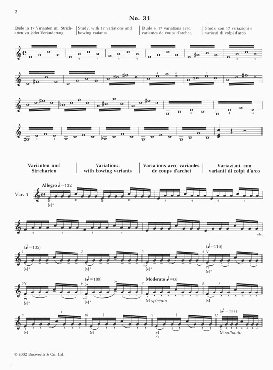 Sevcik Violin Studies【Op. 2 , Part 4】School of Bowing Technique