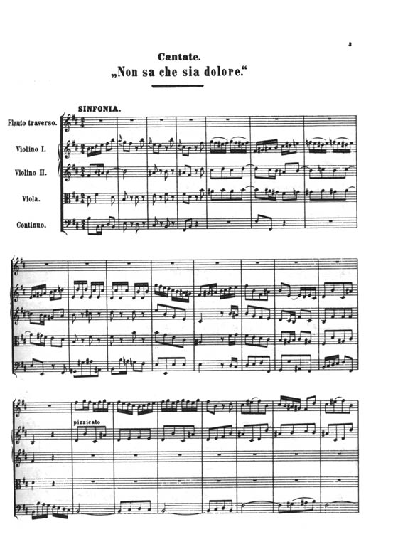 Bach【Cantatas Nos. 209-211】Volume 60 , Miniature Score